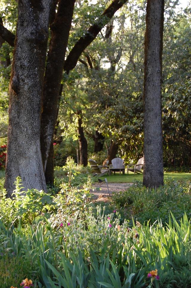 A Ross Garden A Place To Sit In The Oak Grove
